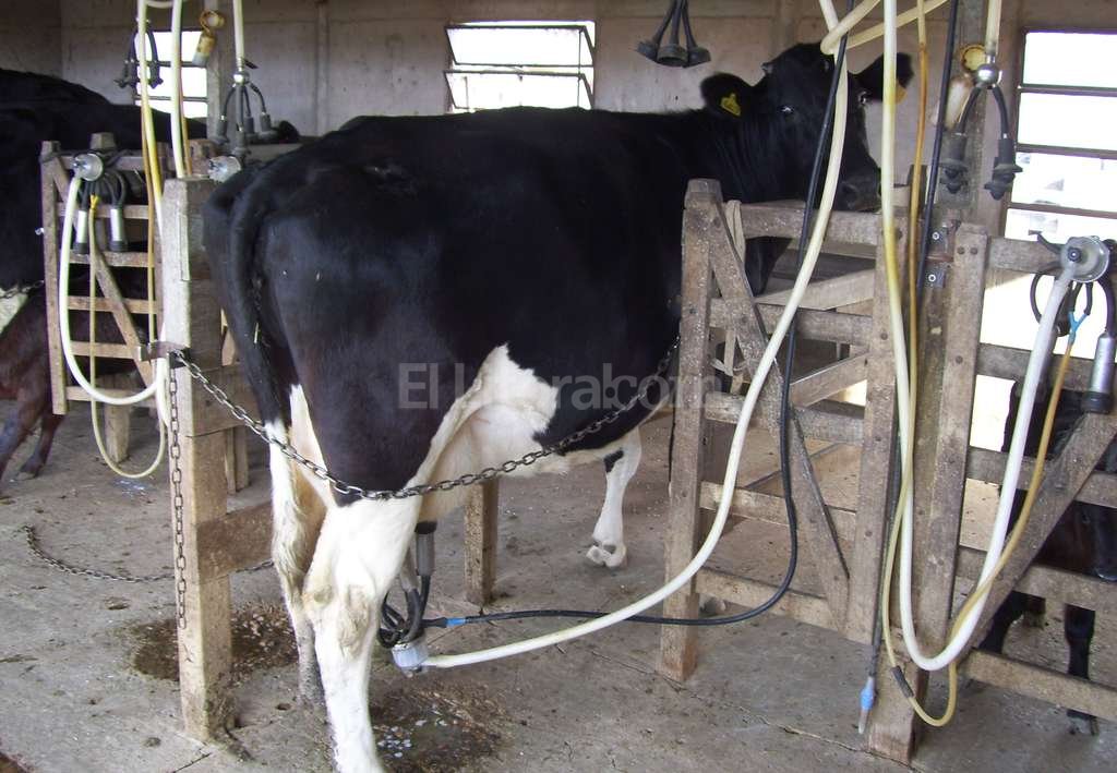 Intentan evitar nuevo conflicto en la lechería - ElLitoral.com