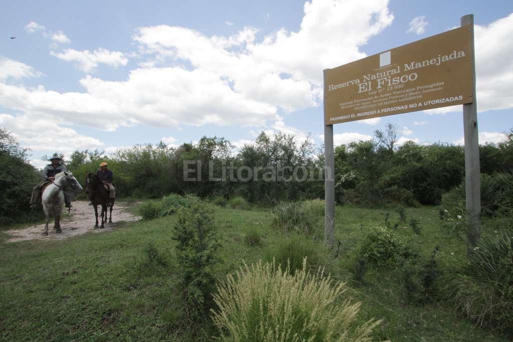 Liberaron el Aguará Guazú gato osito melero y cardinales en la reserva natural El Fisco ubicado 15 kilometros al norte de San Cristobal. Mauricio Garín