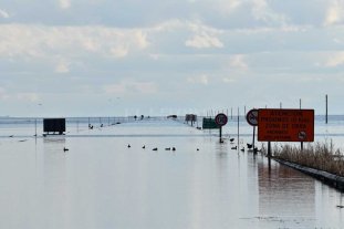 Basta de mirar a los costados Basta de mirar a los costados