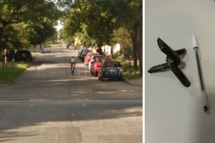 Advierten por "miguelitos" en un cruce de vía Advierten por "miguelitos" en un cruce de vía