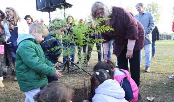 Jardines de infantes de toda la provincia plantaron 1500 árboles Jardines de infantes de toda la provincia plantaron 1500 árboles