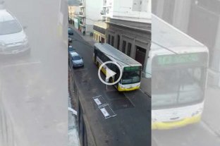 Un chapón genera inconvenientes en el centro de la ciudad Un chapón genera inconvenientes en el centro de la ciudad