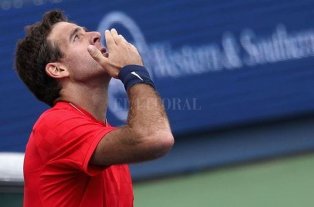 Del Potro intentará avanzar a octavos de final en Cincinnati Del Potro intentará avanzar a octavos de final en Cincinnati