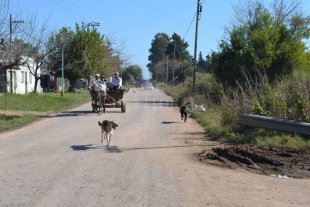 Cloacas, desagües y alumbrado para tres barrios de Santo Tomé Cloacas, desagües y alumbrado para tres barrios de Santo Tomé