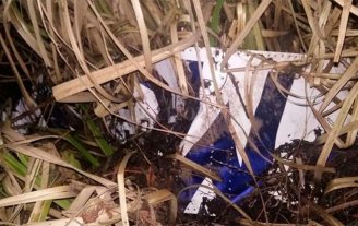 Confirman que hallaron "restos humanos" en avioneta caída en el Delta Confirman que hallaron "restos humanos" en avioneta caída en el Delta