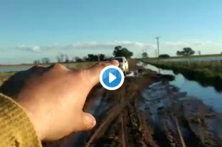 El campo, la gestión y las redes El campo, la gestión y las redes