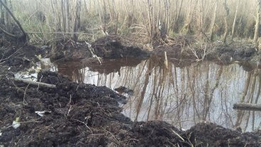 Recataron los tres cadáveres y los motores del avión que cayó en el Delta del Paraná Recataron los tres cadáveres y los motores del avión que cayó en el Delta del Paraná