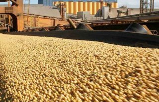 La situación de las exportaciones de la provincia de Santa Fe La situación de las exportaciones de la provincia de Santa Fe