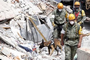 Crece el número de fallecidos tras el terremoto en México Crece el número de fallecidos tras el terremoto en México