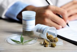 Reglamentaron la ley de uso medicinal de cannabis Reglamentaron la ley de uso medicinal de cannabis