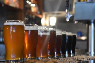 La ciudad disfruta de la Fiesta de la Cerveza Artesanal La ciudad disfruta de la Fiesta de la Cerveza Artesanal