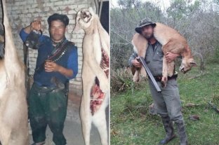 Mataba pumas, los publicaba en Facebook y desafiaba a la policía Mataba pumas, los publicaba en Facebook y desafiaba a la policía