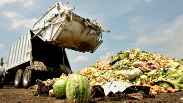 Crece día a día el desecho de alimentos en el mundo Crece día a día el desecho de alimentos en el mundo