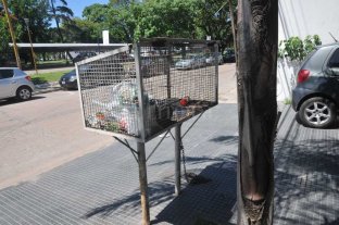 Piden "mejorar el deteriorado servicio" de recolección de residuos Piden "mejorar el deteriorado servicio" de recolección de residuos