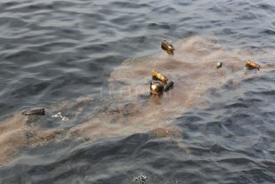 Una de cada seis muertes en el mundo está relacionada con la contaminación Una de cada seis muertes en el mundo está relacionada con la contaminación