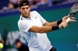 Del Potro conquistó el ATP de Estocolmo Del Potro conquistó el ATP de Estocolmo