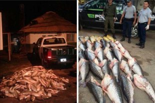 Importante decomiso de peces en la provincia Importante decomiso de peces en la provincia