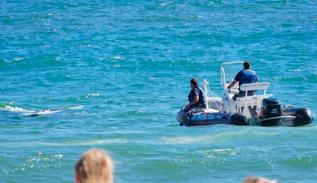 Cayó avión en Punta del Este: los ocupantes están ilesos