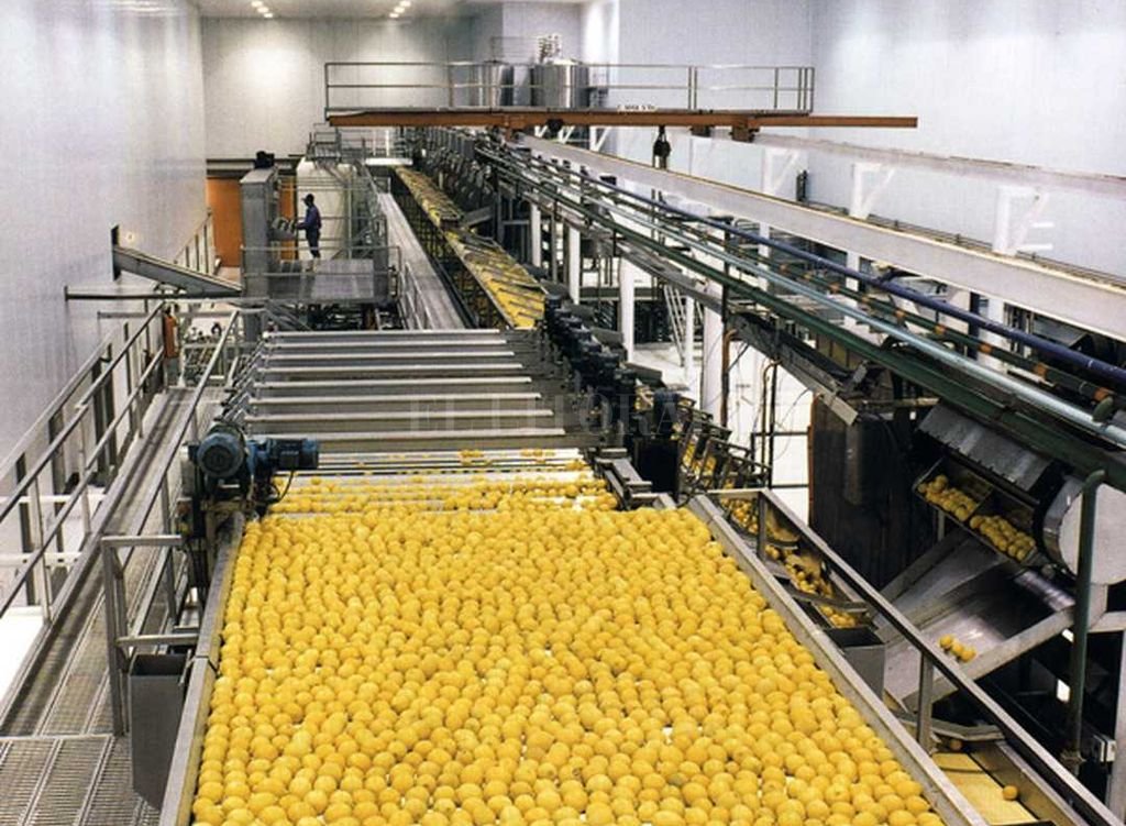 Se concretará este miércoles el primer embarque de limones a EE.UU