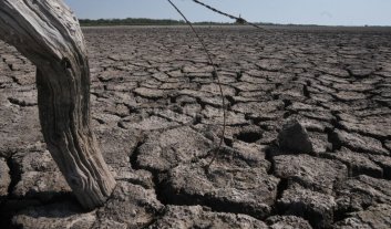 Se amplía la Emergencia Agropecuaria en la provincia Se amplía la Emergencia Agropecuaria en la provincia