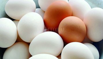 La inflación provincial fue de 2,1 por ciento en marzo La inflación provincial fue de 2,1 por ciento en marzo