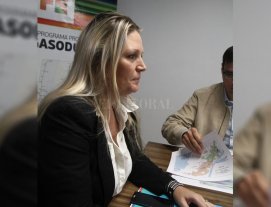 La Provincia ofrecerá a la Nación operar el GNEA La Provincia ofrecerá a la Nación operar el GNEA