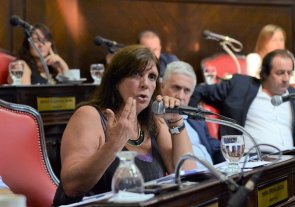 Opositores criticaron el anuncio de Vidal sobre tarifas y lo trataron de "insuficiente" Opositores criticaron el anuncio de Vidal sobre tarifas y lo trataron de "insuficiente"