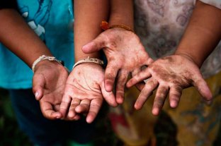 Un matrimonio de agricultores será juzgado por trabajo infantil Un matrimonio de agricultores será juzgado por trabajo infantil