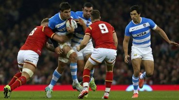 Designaron al plantel de Los Pumas que vendrá a Santa Fe Designaron al plantel de Los Pumas que vendrá a Santa Fe