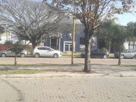 Estacioná como quieras: en contramano por más de tres horas Estacioná como quieras: en contramano por más de tres horas