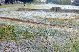 Imágenes de la helada que se formó en Santa Fe Imágenes de la helada que se formó en Santa Fe