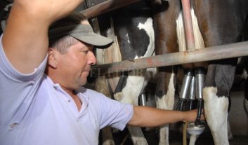 Se presentó "Mercado Lácteo" para vincular a tamberos con industrias Se presentó "Mercado Lácteo" para vincular a tamberos con industrias