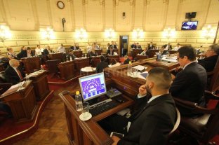 Senadores del Frente apuran su propio proyecto de reforma Senadores del Frente apuran su propio proyecto de reforma