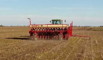 Arrancó la siembra de trigo Arrancó la siembra de trigo
