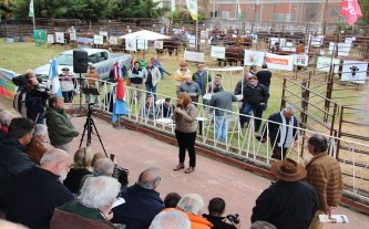 Histórico remate ganadero en la Rural de Santa Fe Histórico remate ganadero en la Rural de Santa Fe