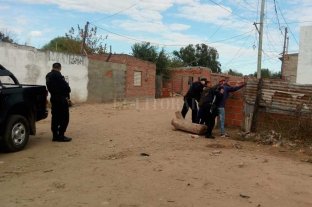 Durante el fin de semana se secuestraron once armas de fuego en Santa Fe Durante el fin de semana se secuestraron once armas de fuego en Santa Fe