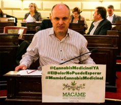 Cannabis Medicinal: solicitan a Nación que destrabe la importación de materia prima Cannabis Medicinal: solicitan a Nación que destrabe la importación de materia prima