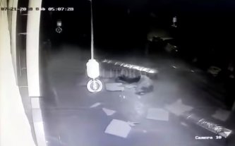 Robó, se tomó dos cervezas y al escapar se cayó desde el techo y se golpeó la cabeza Robó, se tomó dos cervezas y al escapar se cayó desde el techo y se golpeó la cabeza
