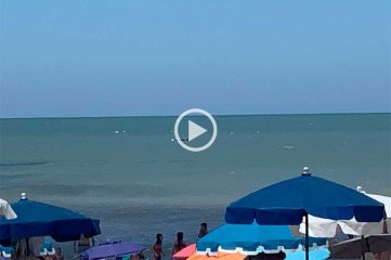 Video: ballenas jorobadas sorprenden a turistas en Pinamar, Cariló y Valeria del Mar Cerca de la playa
