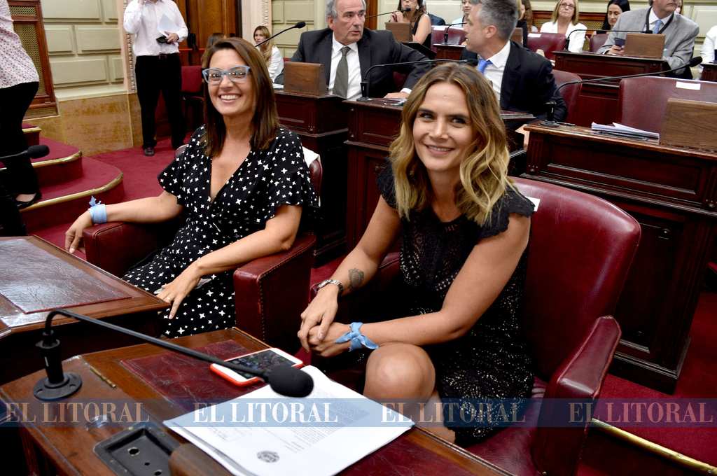 Juraron los diputados