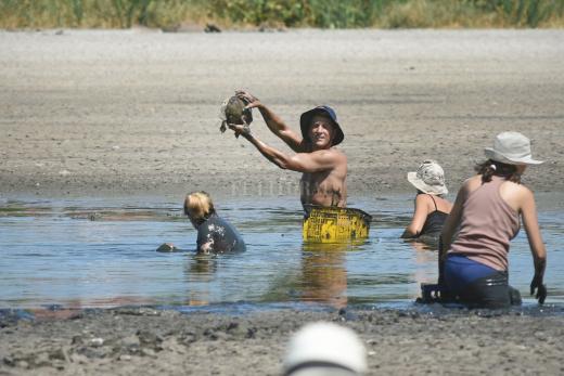 Rescatan tortugas en la laguna Juan de Garay