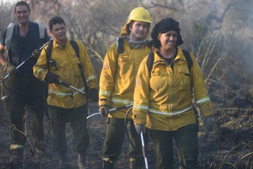 Bomberos Voluntarios controlaron el fuego en el bañado de Colastiné Sur