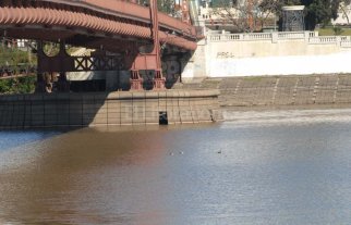 Puente Colgante: la bajante evidenció daños erosivos