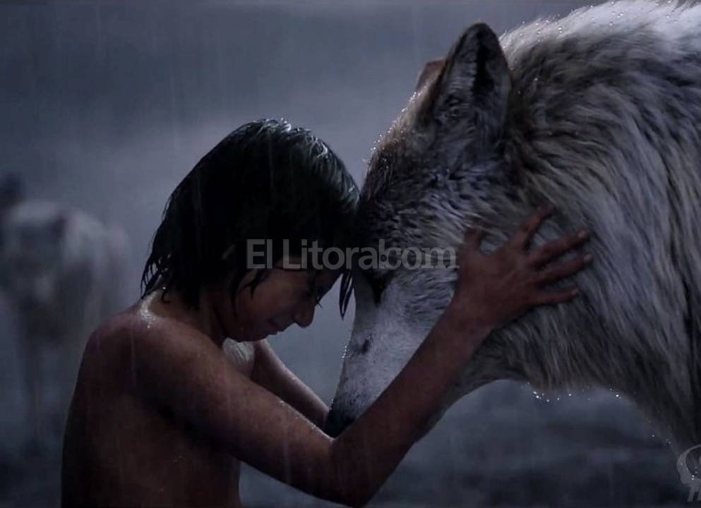 Como Se Llama La Mama Loba De Mowgli www.ellitoral.com