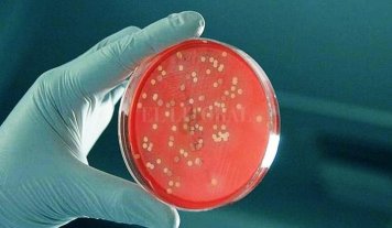 La bacteria es "conocida" y sensible a los antibióticos, confirmó el Malbrán
