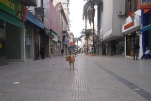 Este martes Paro general: la medida de fuerza se hace sentir en la ciudad - La peatonal San Martín, casi vacía. Paro general: la medida de fuerza se hace sentir en la ciudad - La peatonal San Martín, casi vacía.