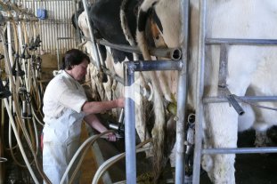 Actualidad Polémica: ¿quién gana más, un productor o un empleado estatal? - Polémica: ¿quién gana más, un productor o un empleado estatal? -