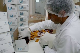 Soberanía y accesibilidad El Laboratorio Industrial Farmacéutico desarrollará cinco nuevas especialidades médicas - El Laboratorio Industrial Farmacéutico desarrollará cinco nuevas especialidades médicas -