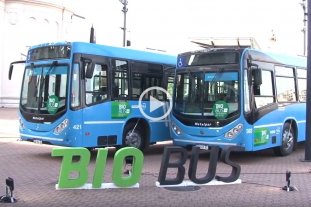 En Rosario ya comenzaron las pruebas La provincia de Santa Fe propone que todo el transporte público utilice biodiesel - La provincia de Santa Fe propone que todo el transporte público utilice biodiesel -