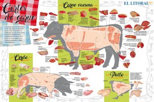 Edición especial Guía práctica de carnes, un éxito - Guía práctica de carnes, un éxito -